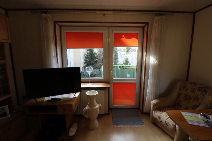 IMG7931