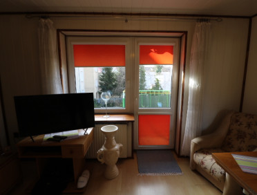 IMG7931