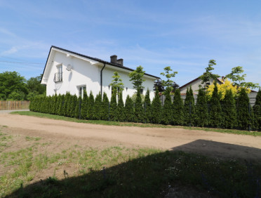 IMG0137