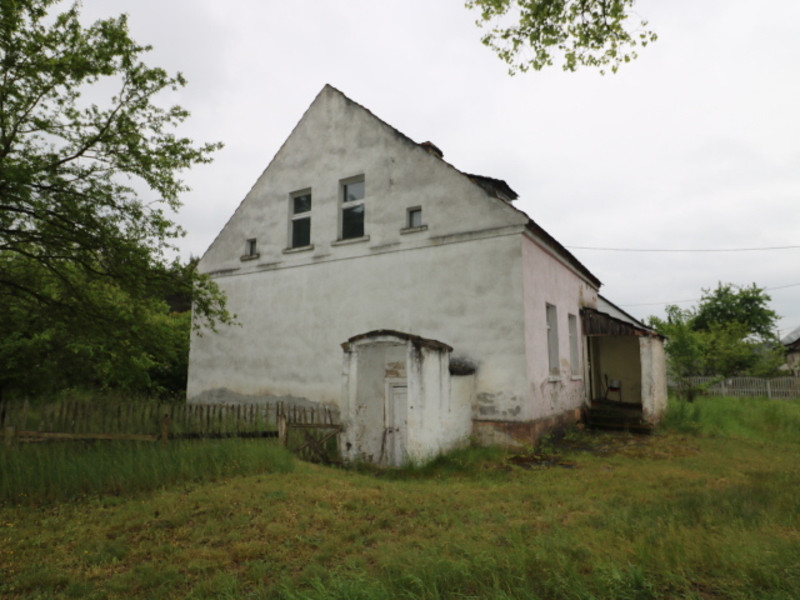 IMG8695